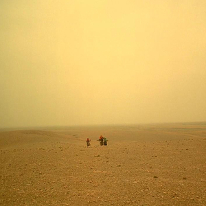 张柏芝跪下吃J8图片在线
