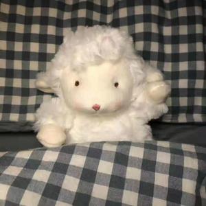 张柏芝跪下吃J8图片在线
